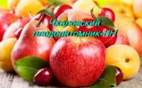 Саженцы жимолости нижегородская ранняя