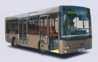 МАЗ 226068