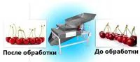 Машина для разделения кисти черешни