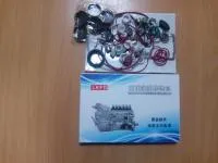 612601080138-10: Рем.комплект ТНВД HOWO Weichai WD615
